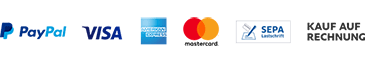Paypal Plus Logo